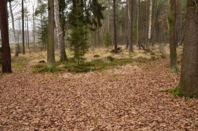 Regen - Víkendový pobyt Sloup v Čechách